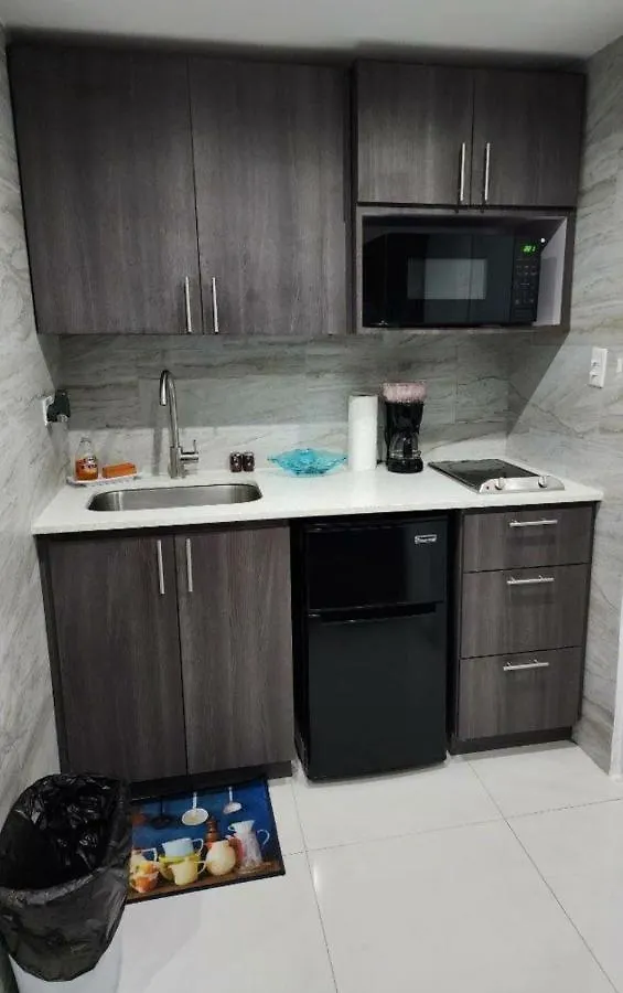Starfish Luxury Apartment Beach II Σαν Χουάν